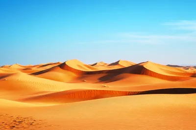 Vast Golden Sand Dunes Under Clear Blue Sky