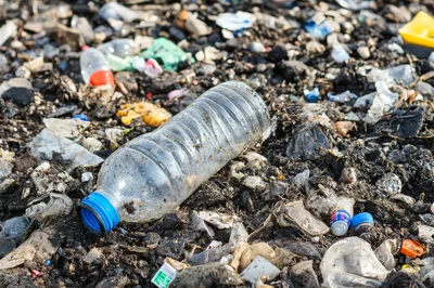 Plastic Bottle Littering A Polluted Landfill Site