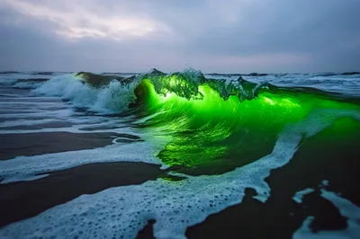 Glowing Green Ocean Wave Breaking At Sunset