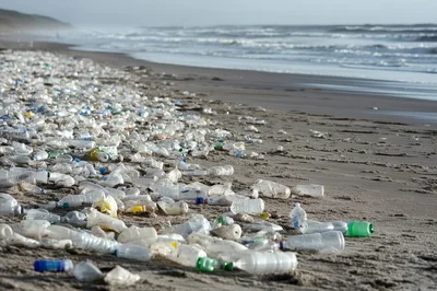 Plastic Bottles Littering A Sandy Ocean Beach