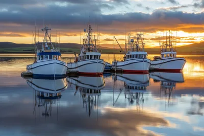 Four Fishing Boats Moored at Sunset