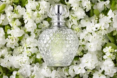Crystal Perfume Bottle Nestled In White Hydrangea Flowers