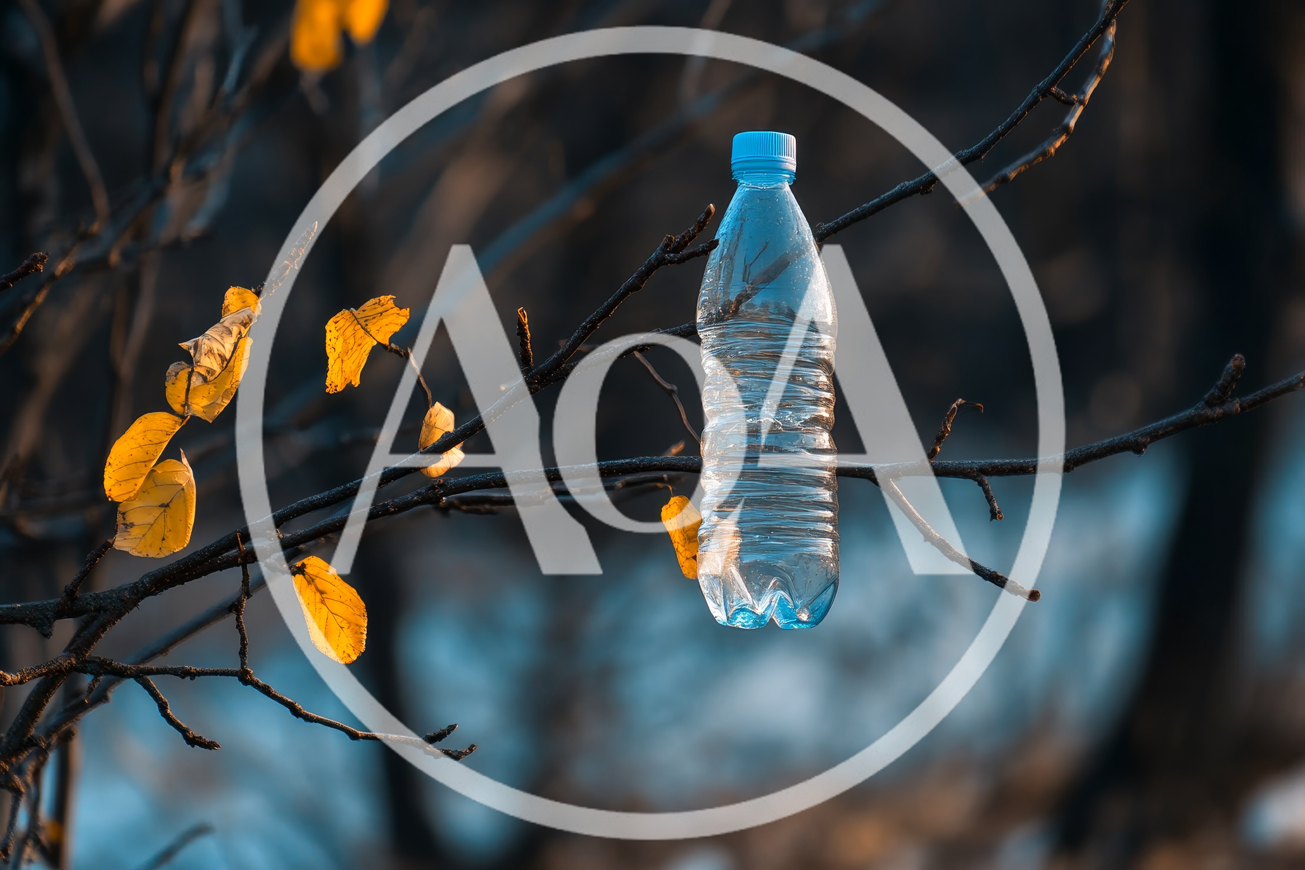 Plastic Water Bottle Hanging On A Tree Branch