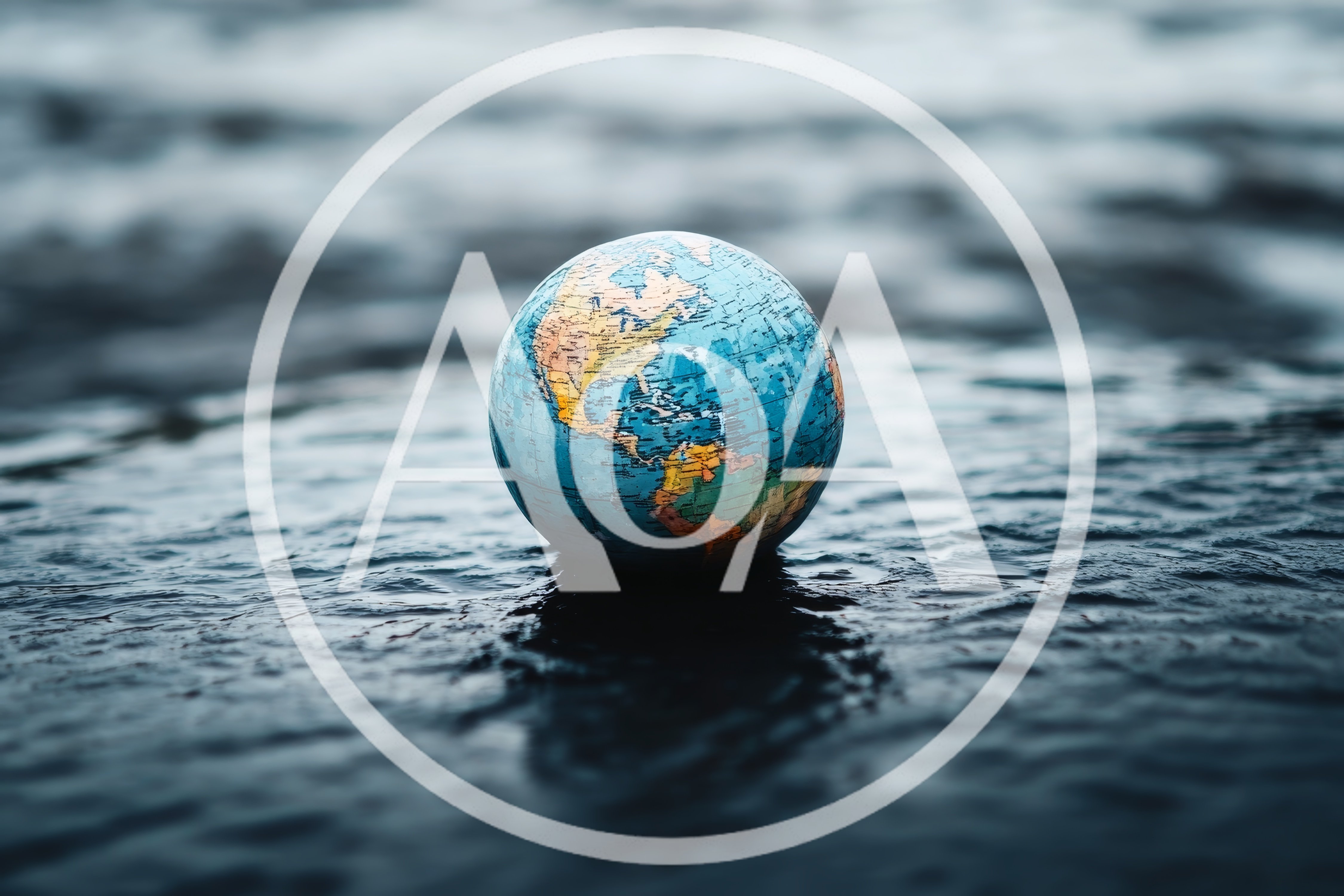 Small Globe Resting On Wet Dark Surface