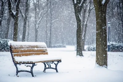Snow Covered Wooden Park Bench During Winter Snowfall