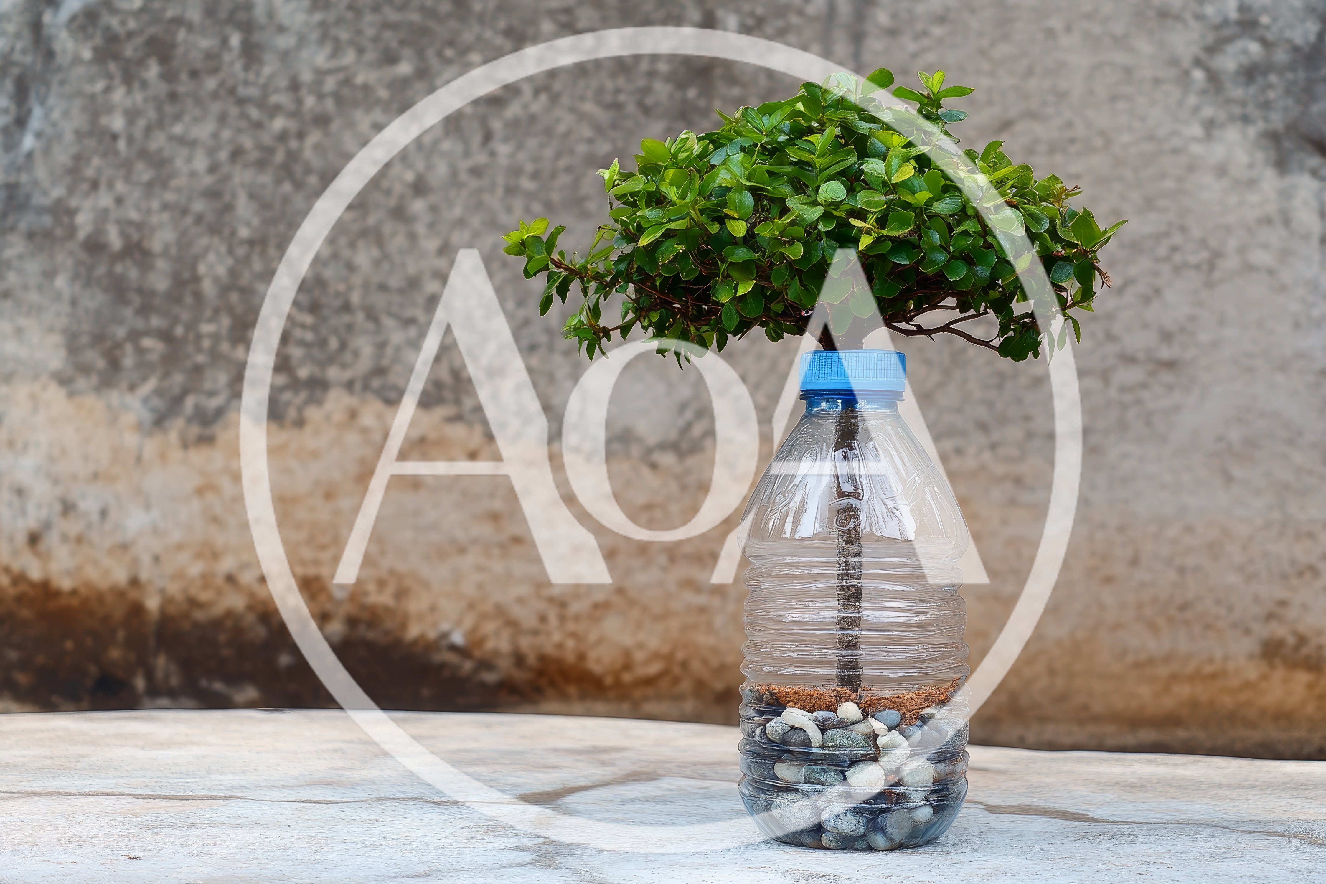 Small Bonsai Tree Growing Inside A Plastic Bottle