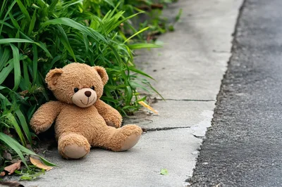 Lost Brown Teddy Bear Sitting On Concrete Sidewalk