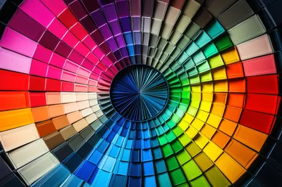 Circular Color Swatch Palette Display