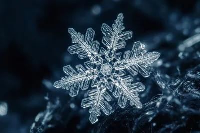 Macro Close Up Of A Single Intricate Snowflake