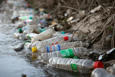 Plastic Bottles Polluting A Riverbank