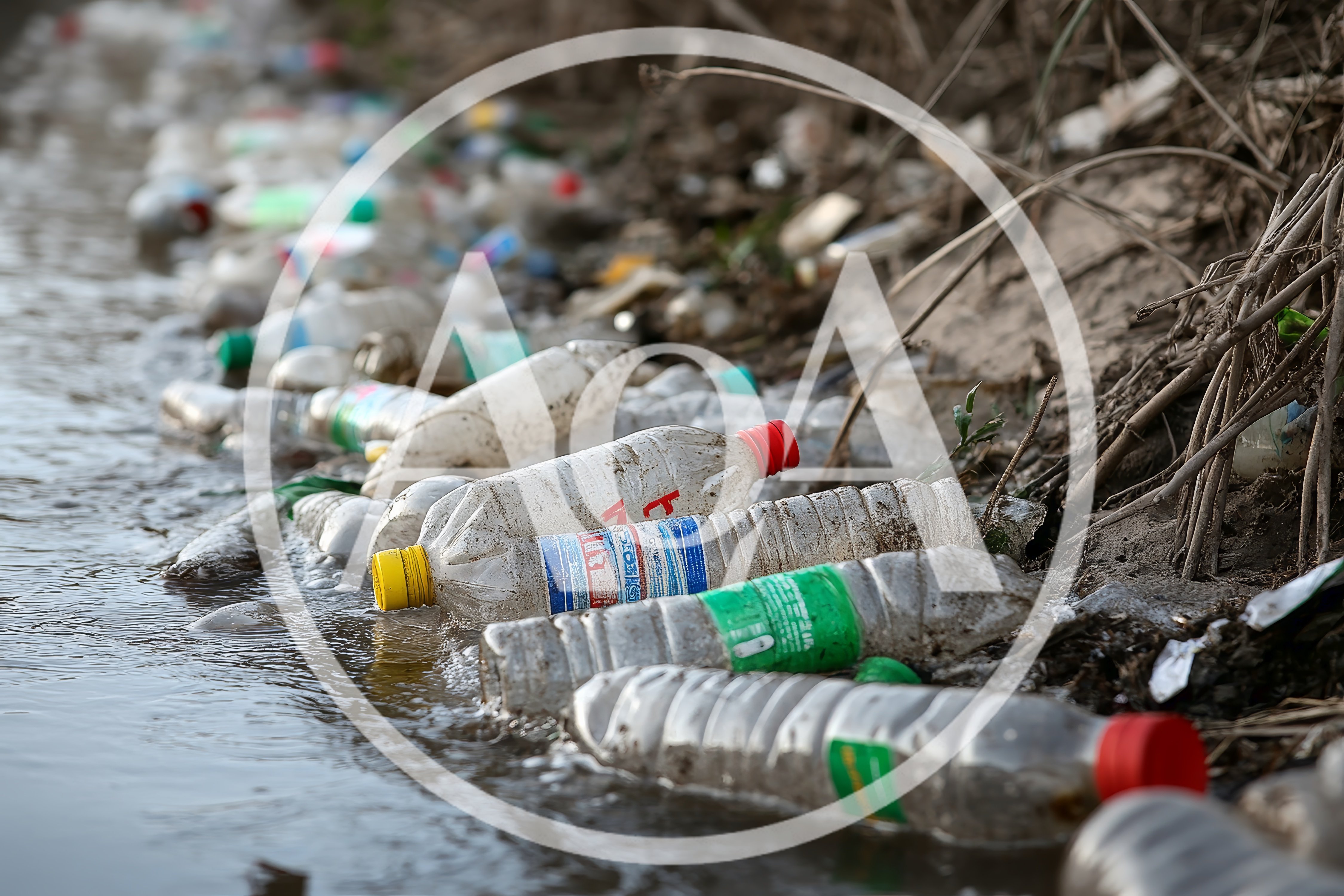 Plastic Bottles Polluting A Riverbank