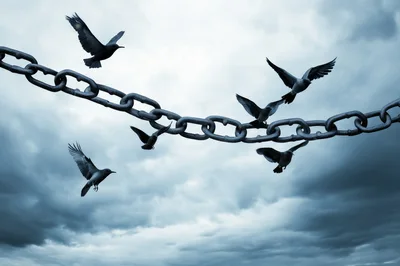 Birds Flying Around A Broken Metal Chain