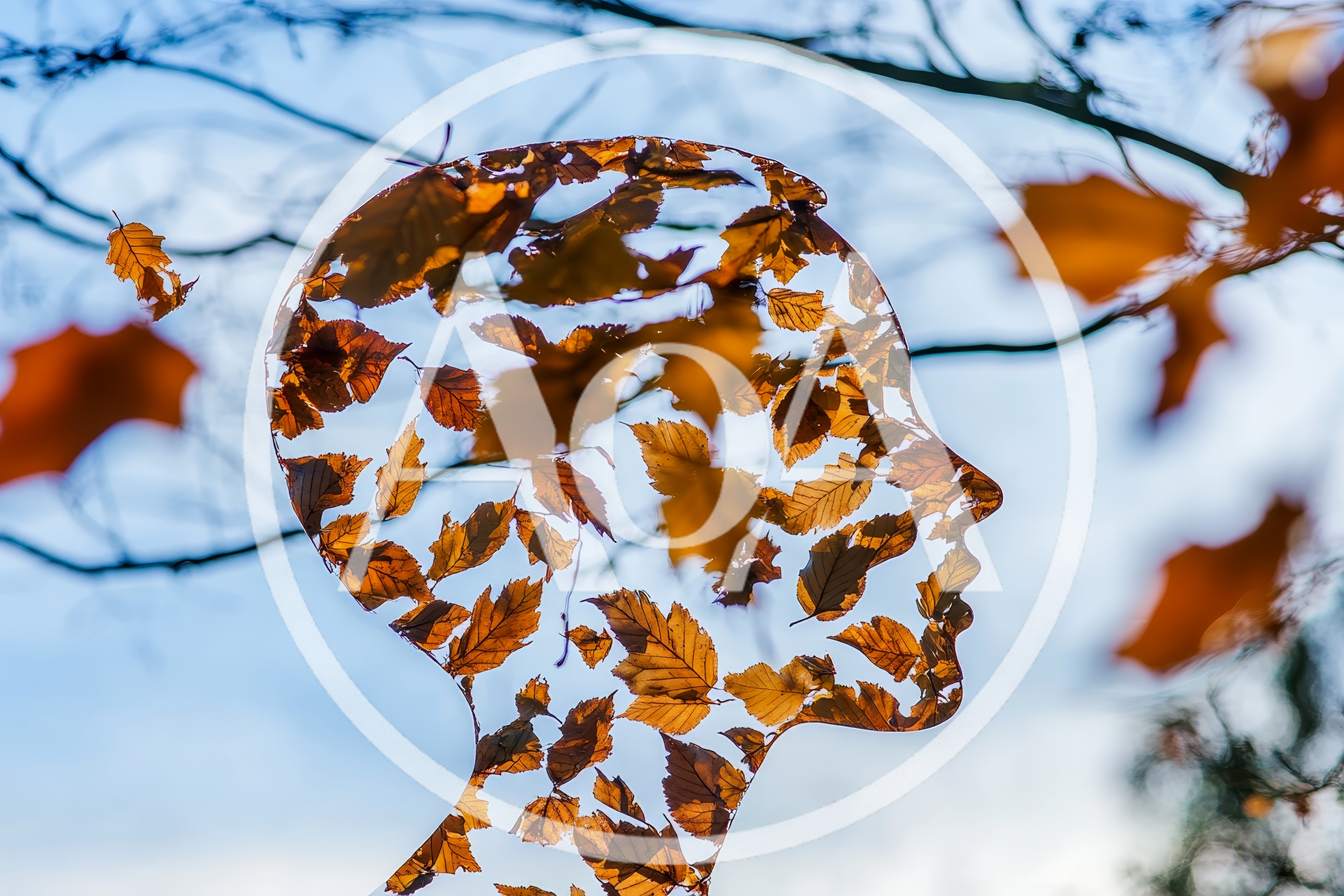 Conceptual Human Head Silhouette Formed By Autumn Leaves