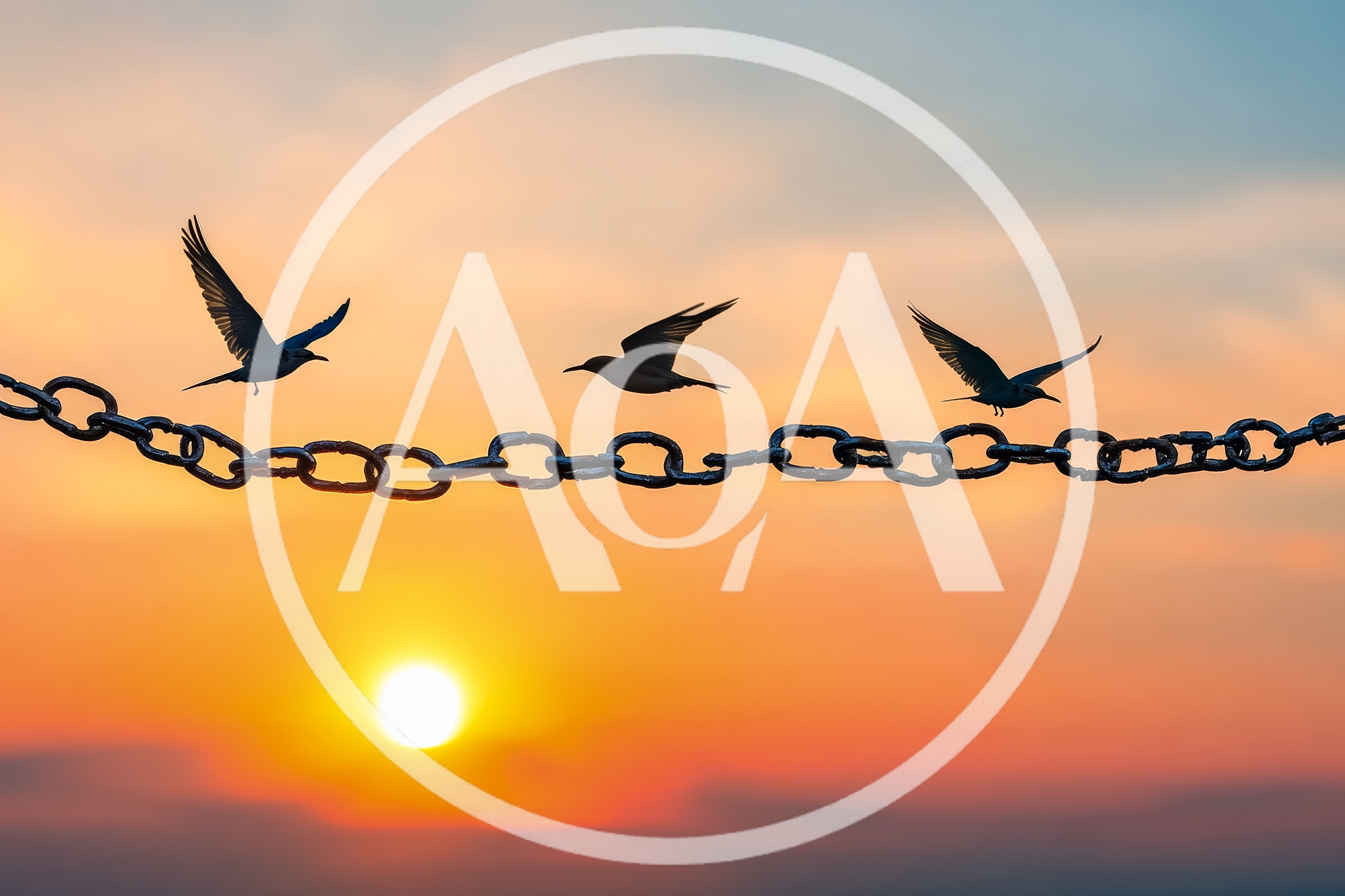 Three Birds Flying Above A Metal Chain At Sunset