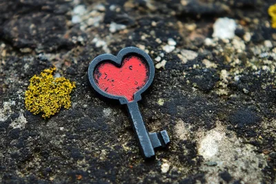 Heart Shaped Key Resting On Mossy Stone