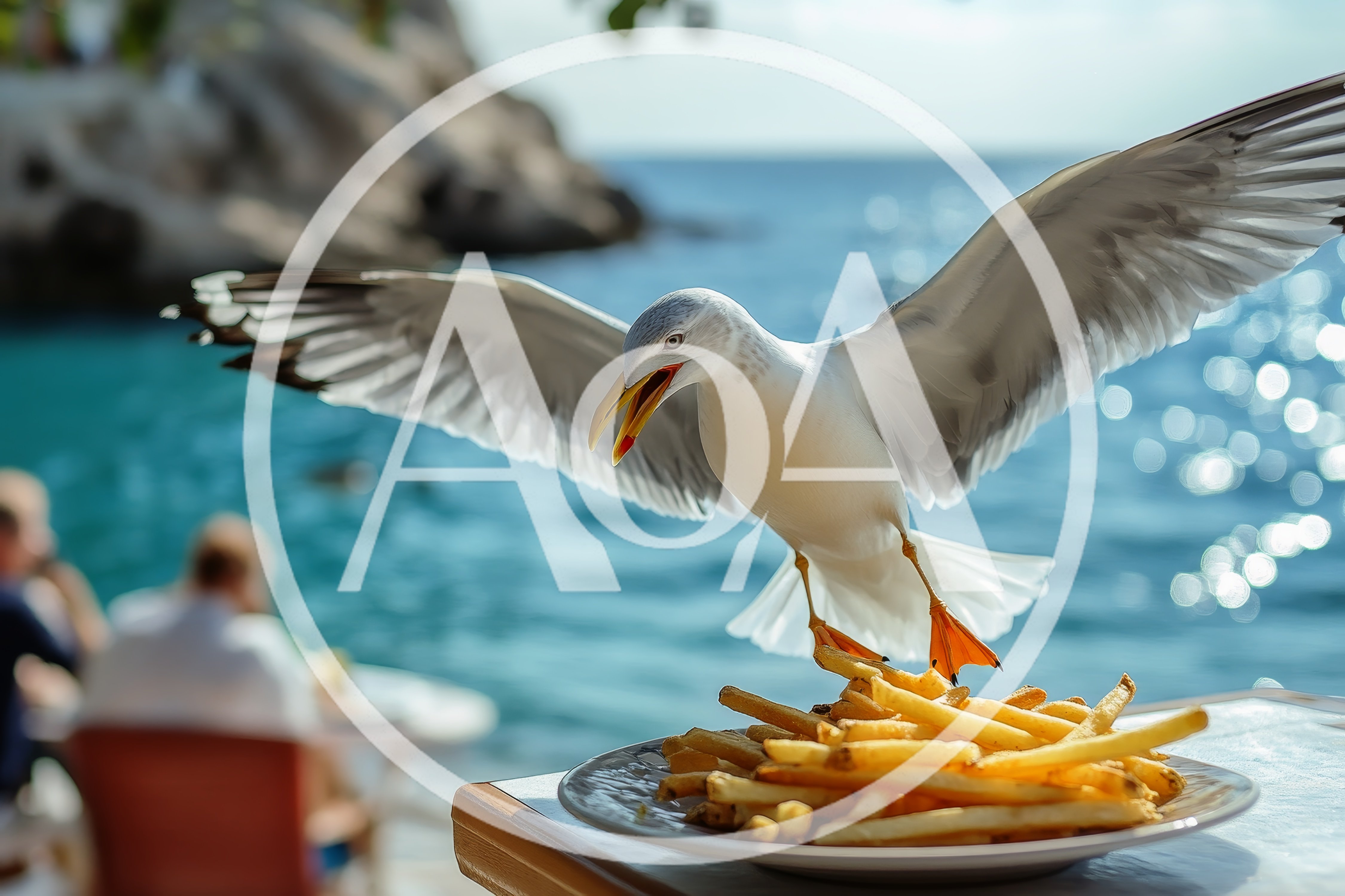 Seagull Stealing French Fries From A Beachside Table