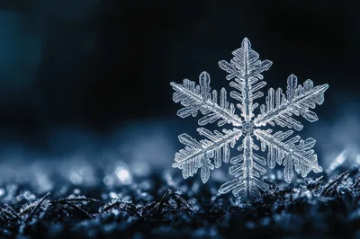 Single Intricate Snowflake Resting On Frozen Ground