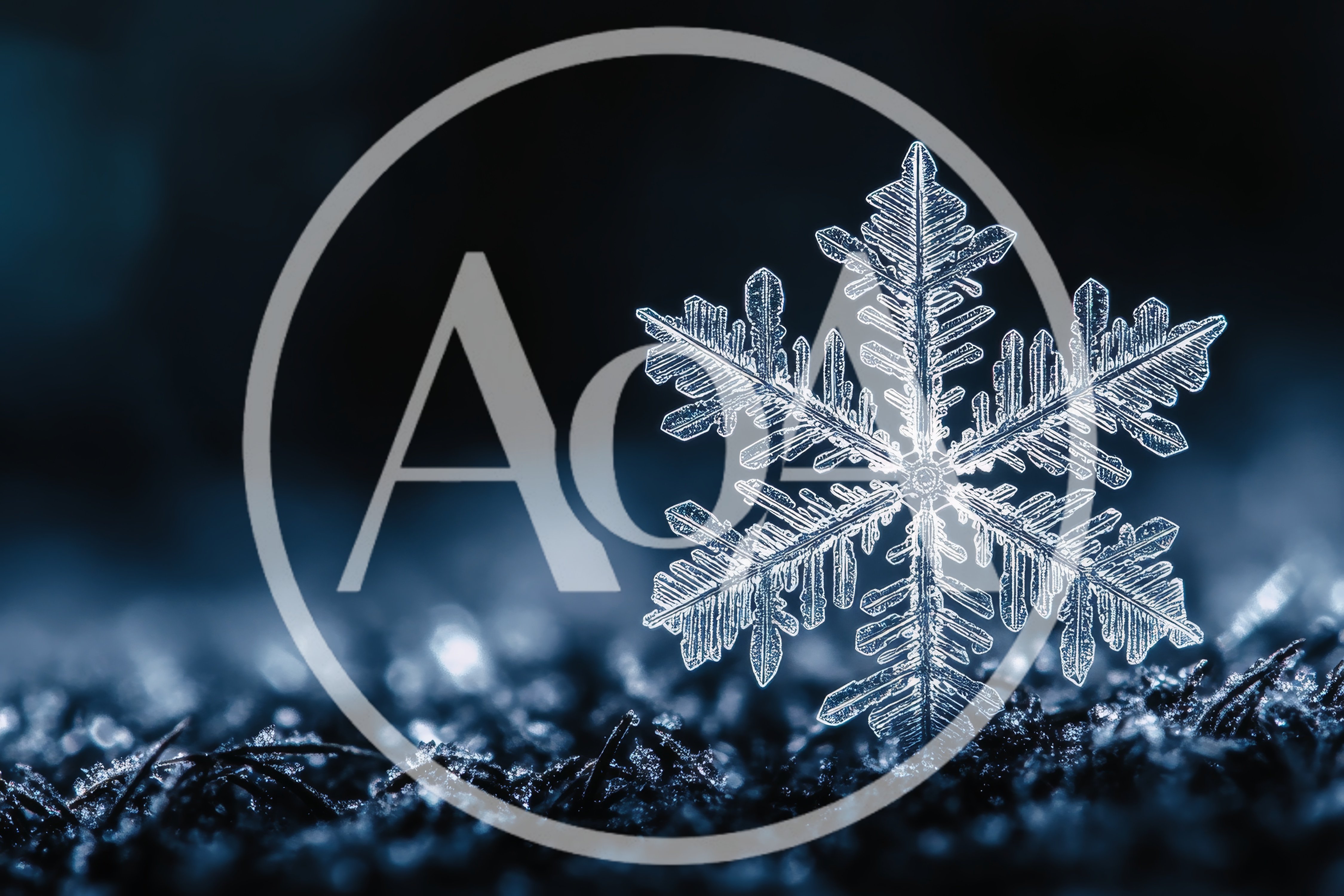 Single Intricate Snowflake Resting On Frozen Ground