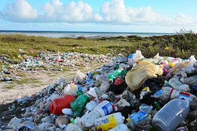 Massive Plastic Waste Accumulation On Coastal Beach