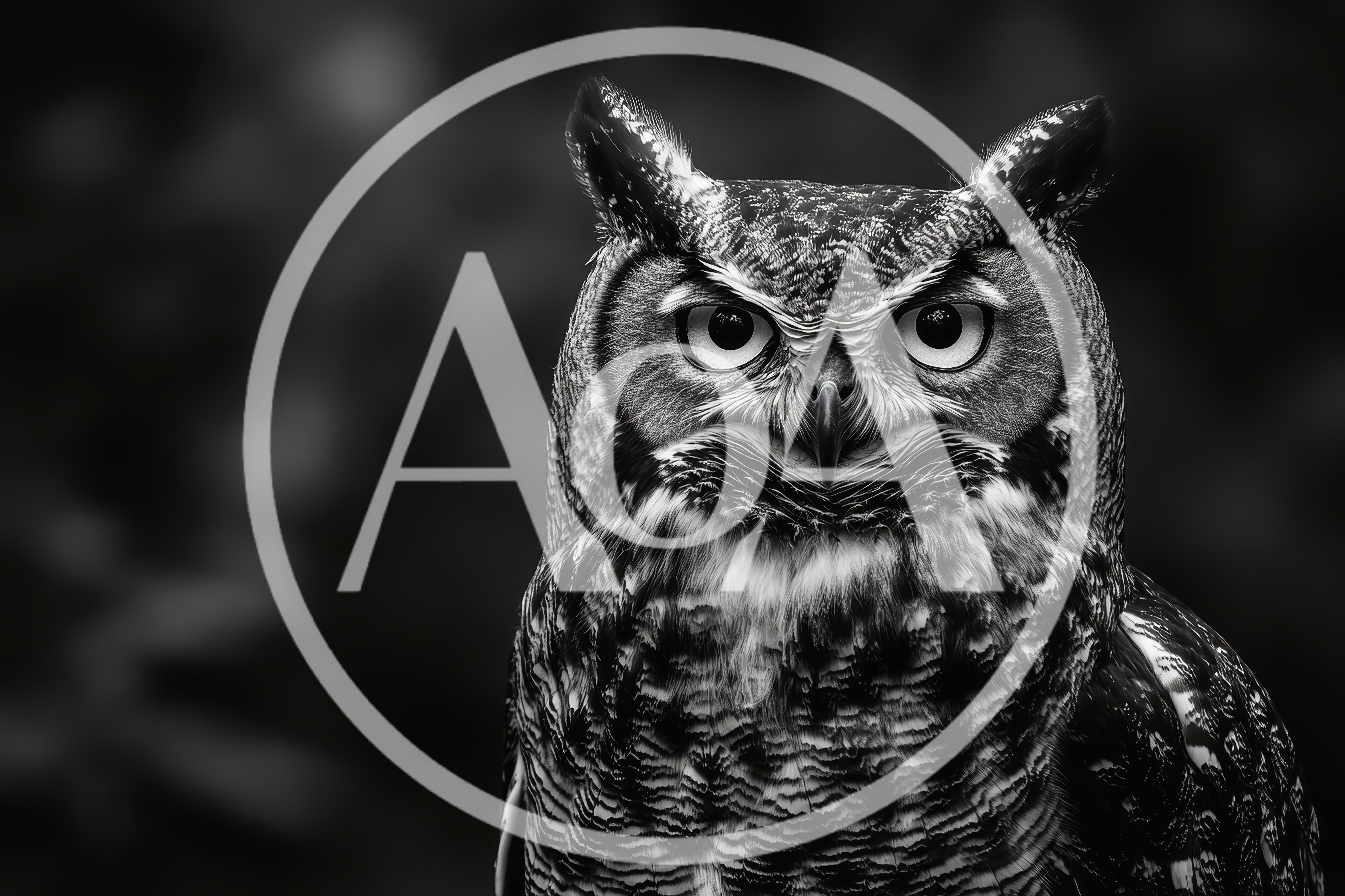 Portrait of a Great Horned Owl