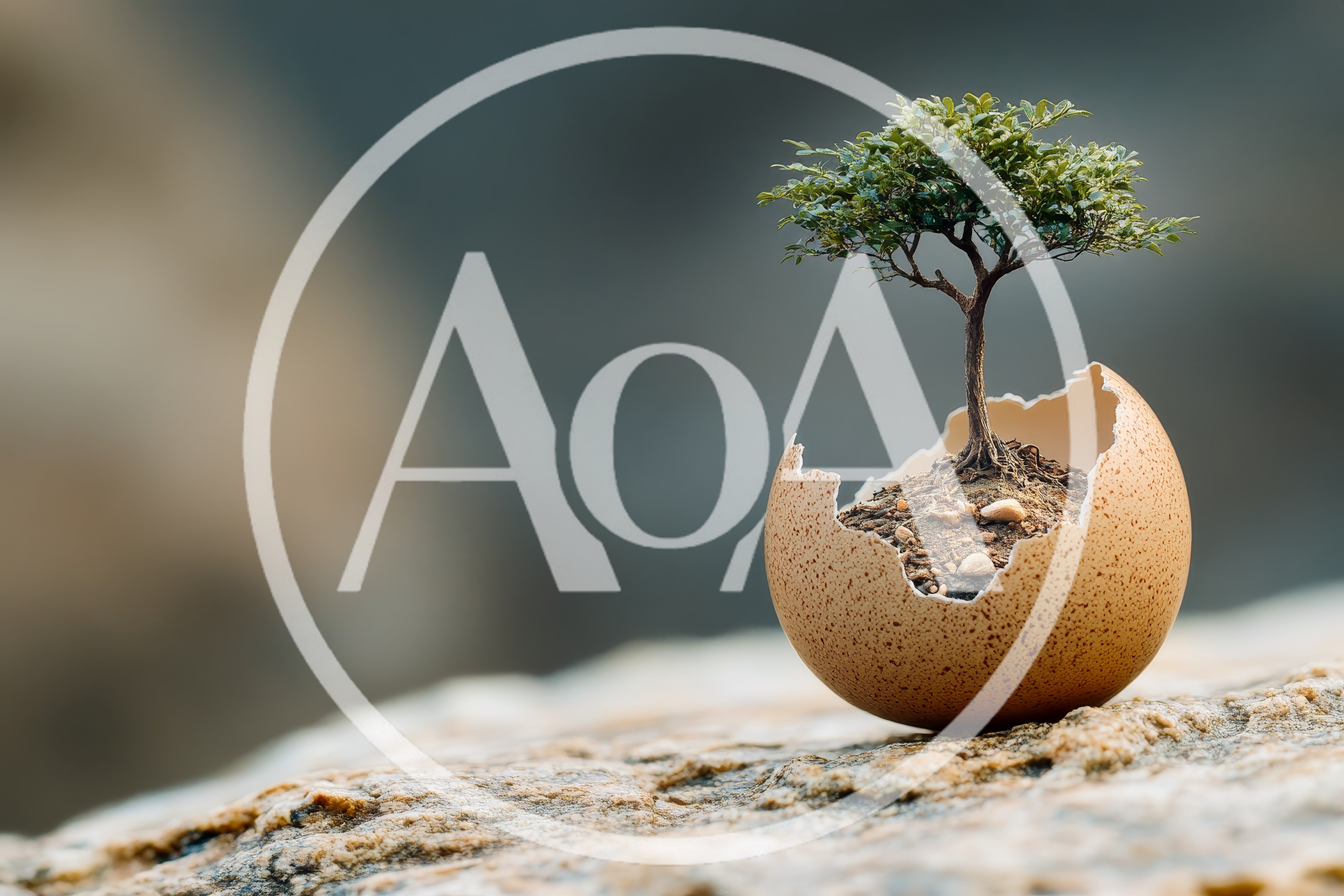Small Tree Growing Inside A Cracked Eggshell