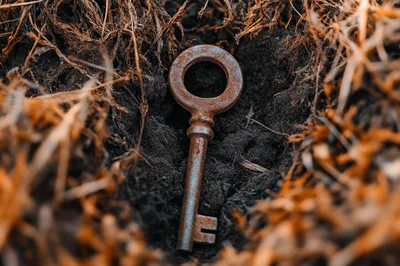 Old Rusty Skeleton Key Buried In Dark Soil