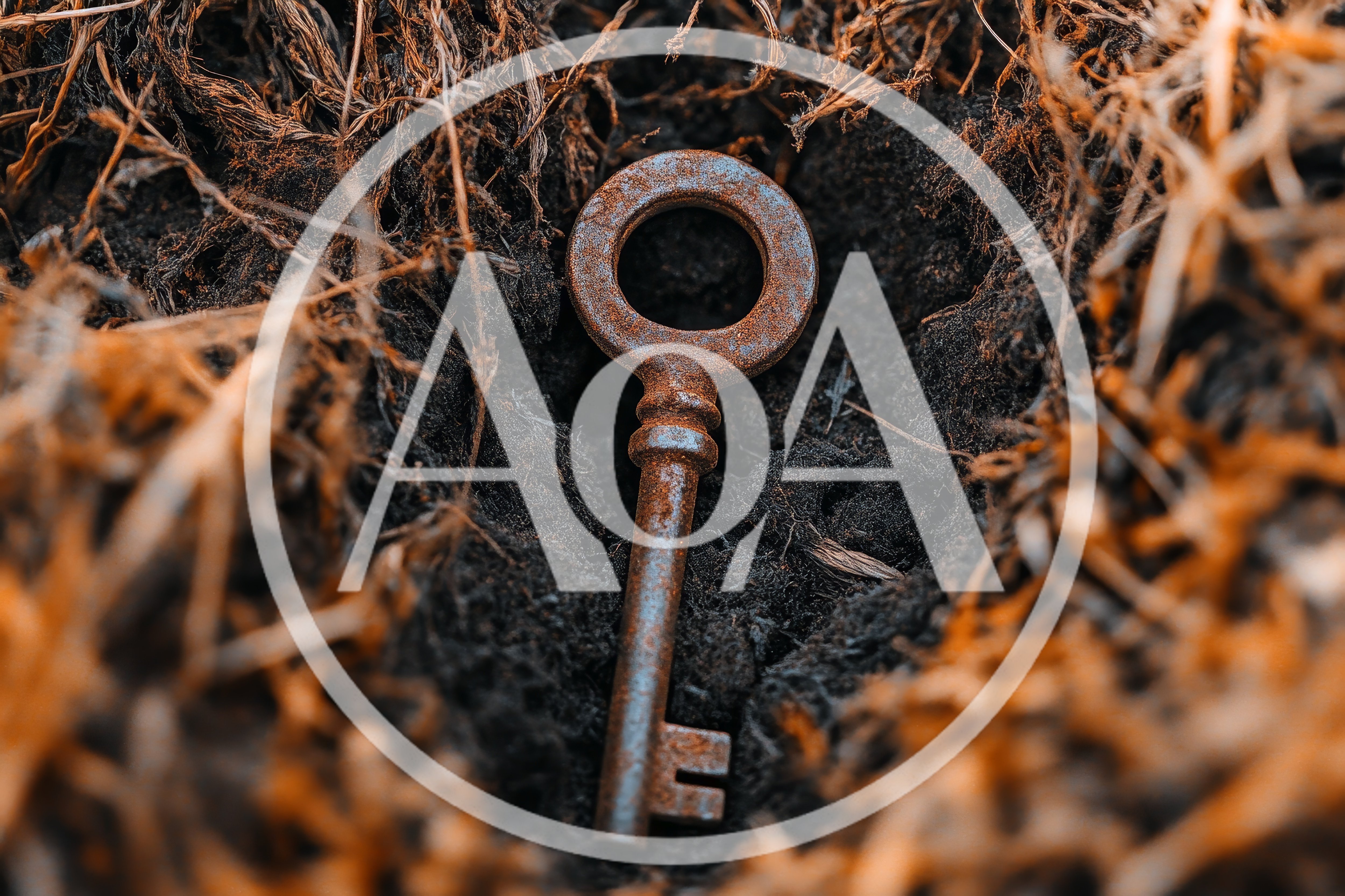 Old Rusty Skeleton Key Buried In Dark Soil