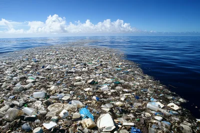 Massive Plastic Waste Patch Floating In The Ocean