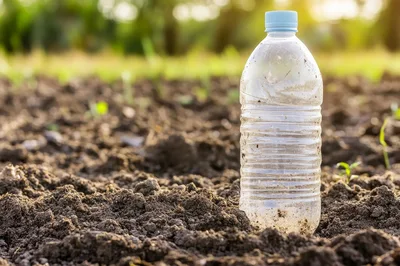 Plastic Water Bottle Standing In Soil