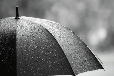 Black Umbrella Covered In Raindrops
