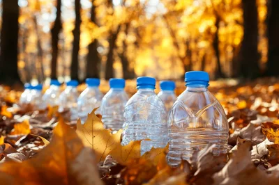Plastic Water Bottles Scattered In Autumn Forest