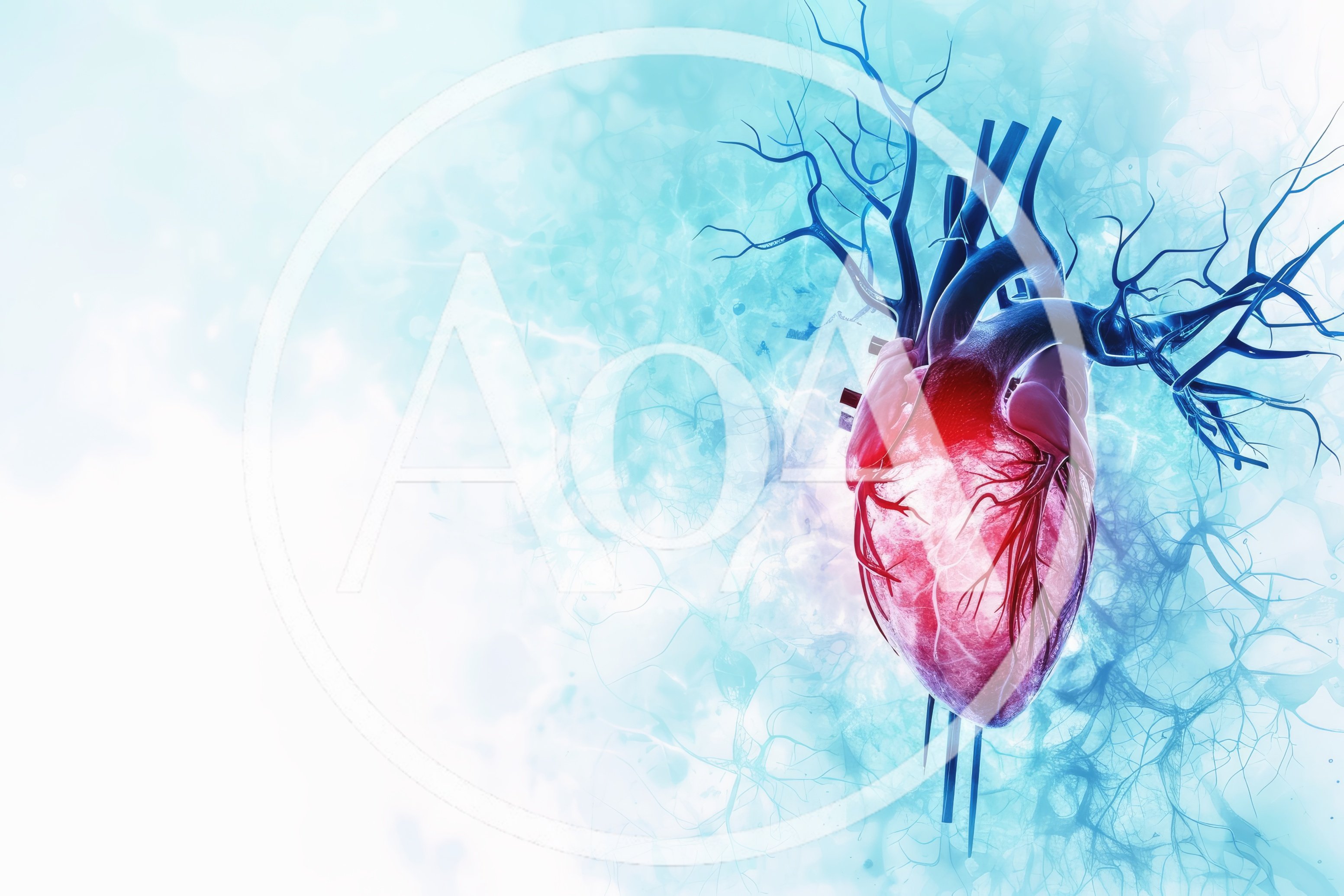 3D Medical Illustration of Human Heart Anatomy