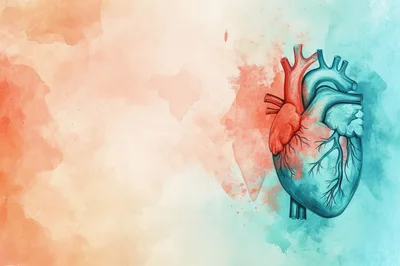 Watercolor Illustration Of Human Heart Anatomy