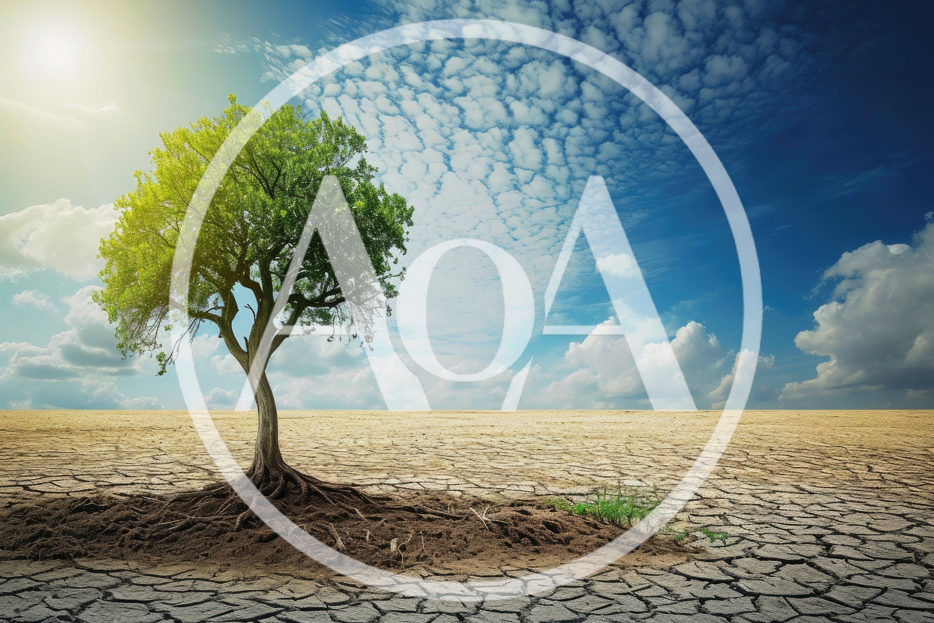 Solitary Green Tree Standing In A Cracked Desert Landscape