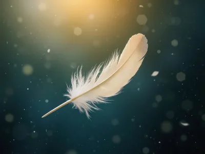 Single White Feather Floating In Dark Atmospheric Space