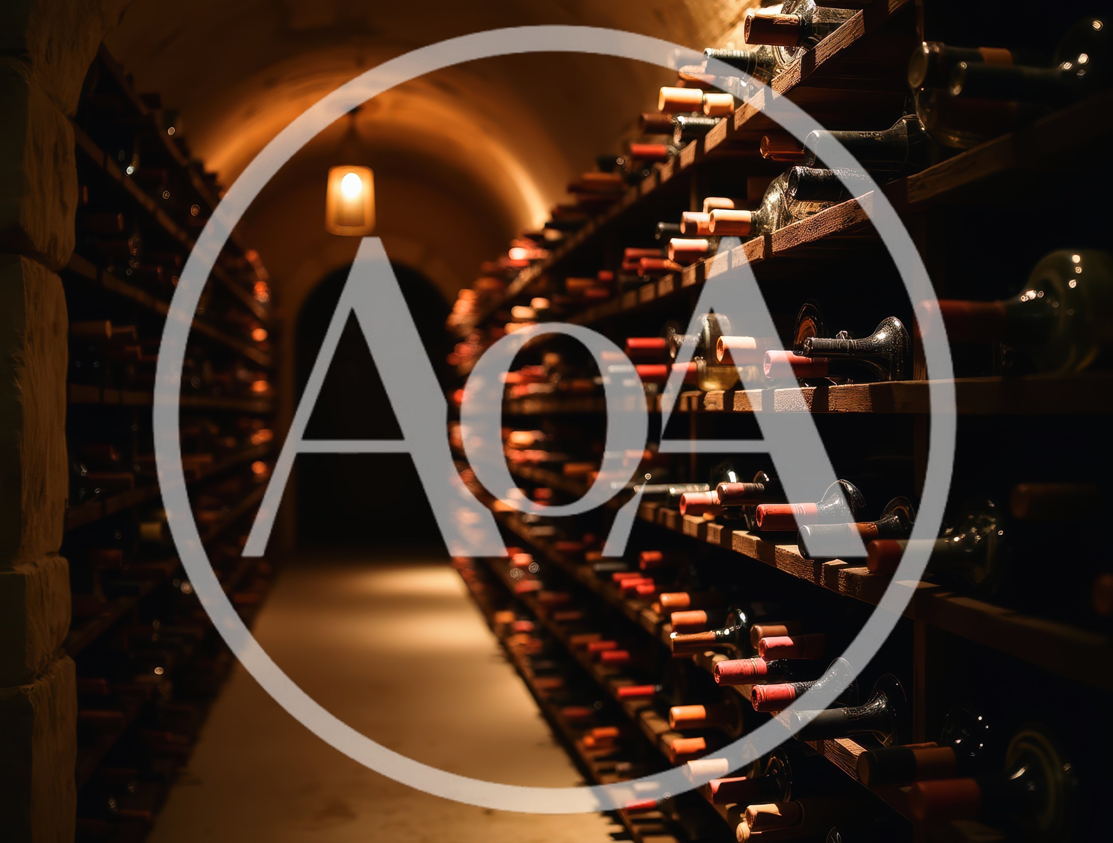 Rows of Wine Bottles in a Dimly Lit Cellar