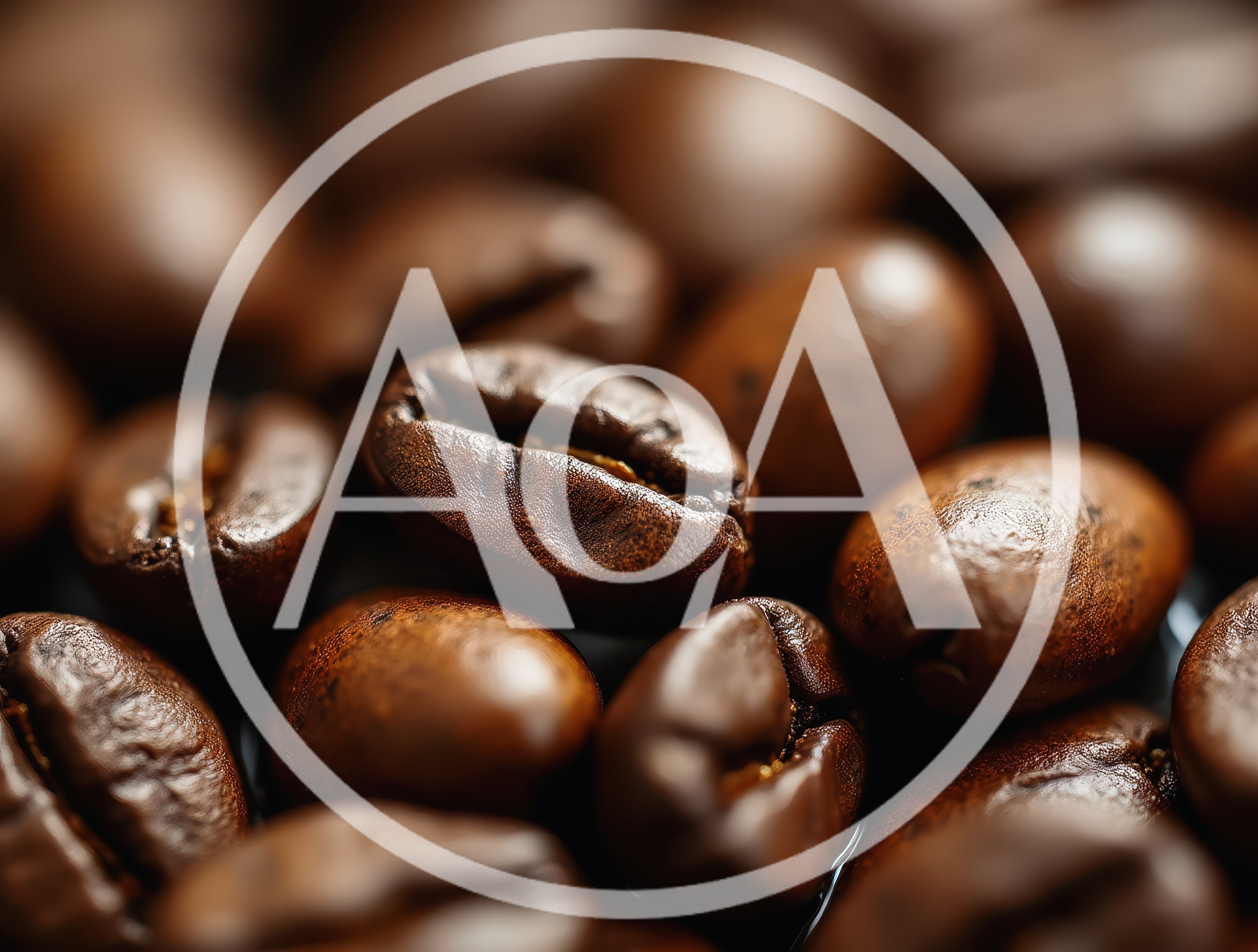 Macro Close Up Of Roasted Coffee Beans