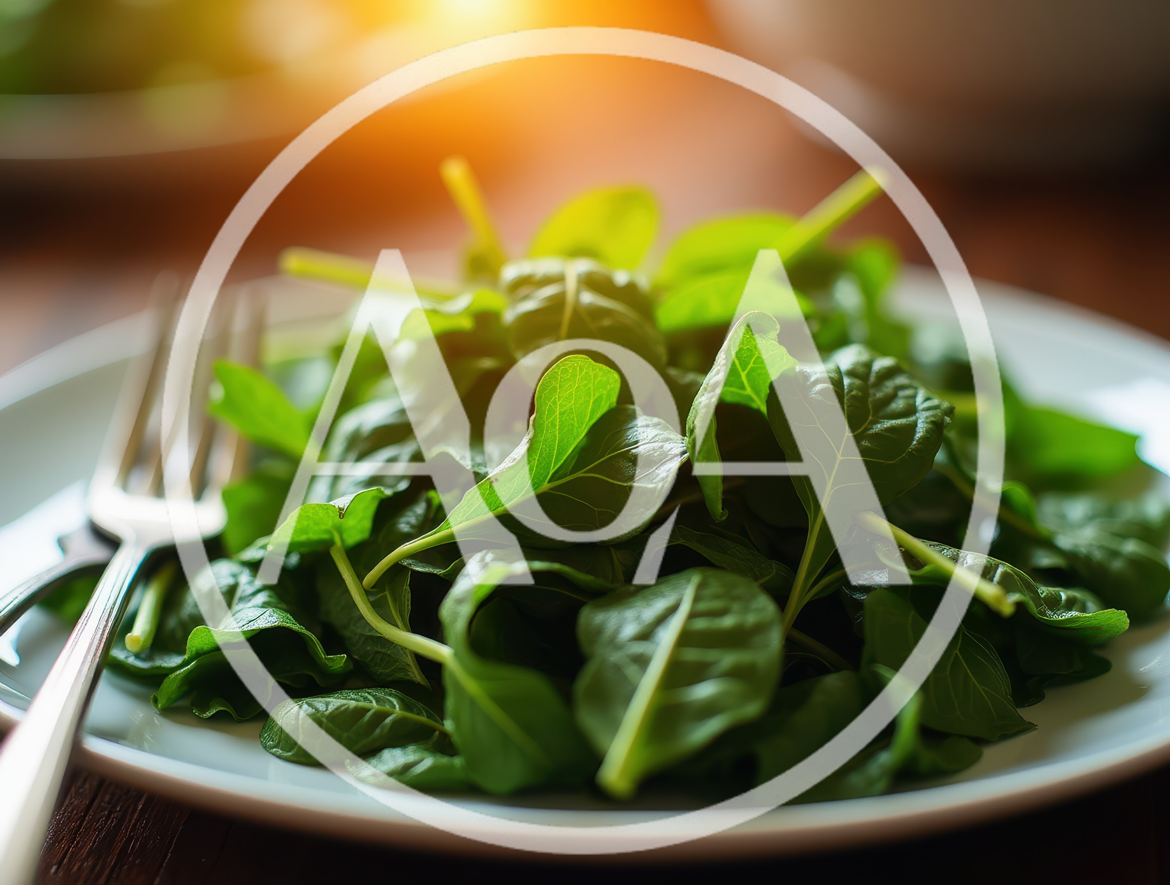 Fresh Green Spinach Salad On A White Plate