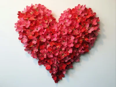 Heart Shape Made Of Red Flowers