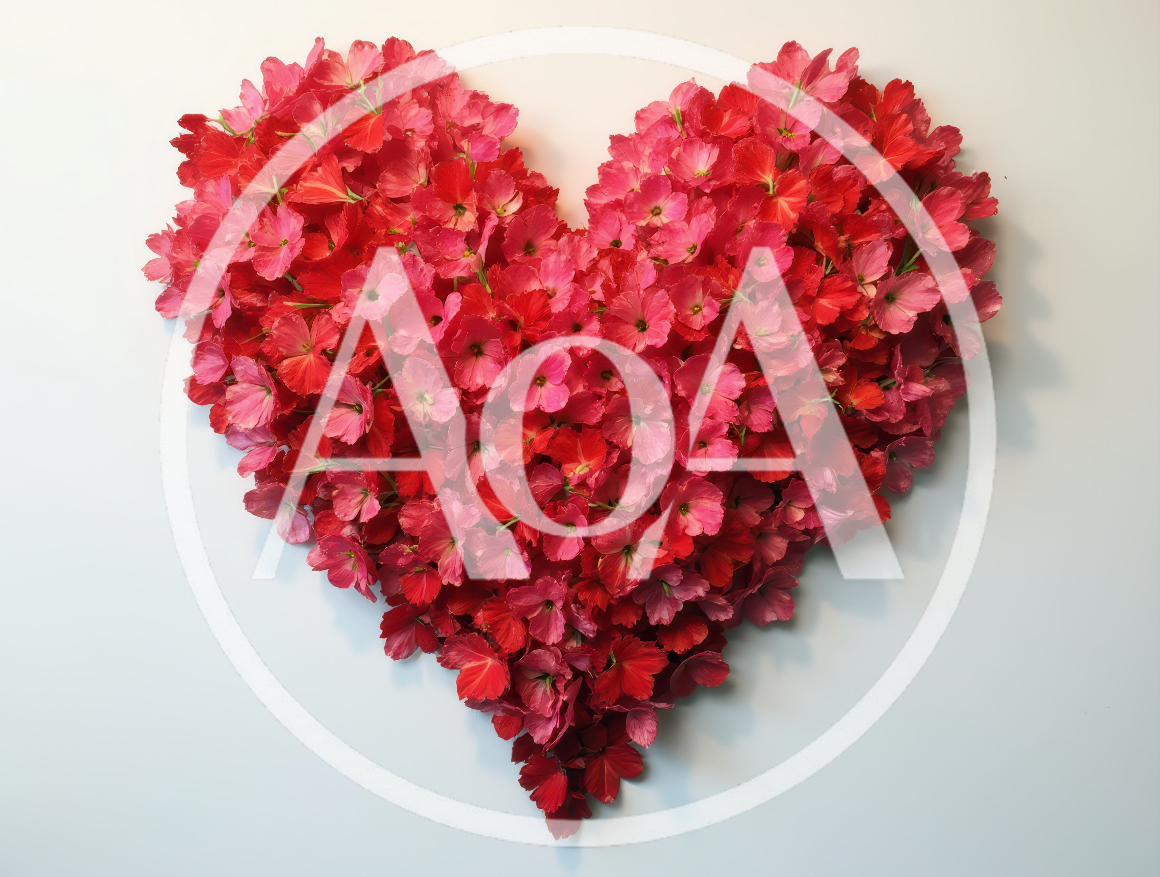Heart Shape Made Of Red Flowers