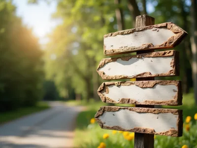 Blank Wooden Directional Signpost In A Sunny Forest