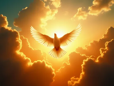 White Dove Flying Against A Golden Sunset Sky