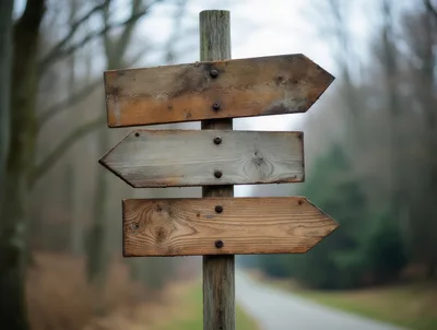 Wooden Directional Signpost In A Misty Forest