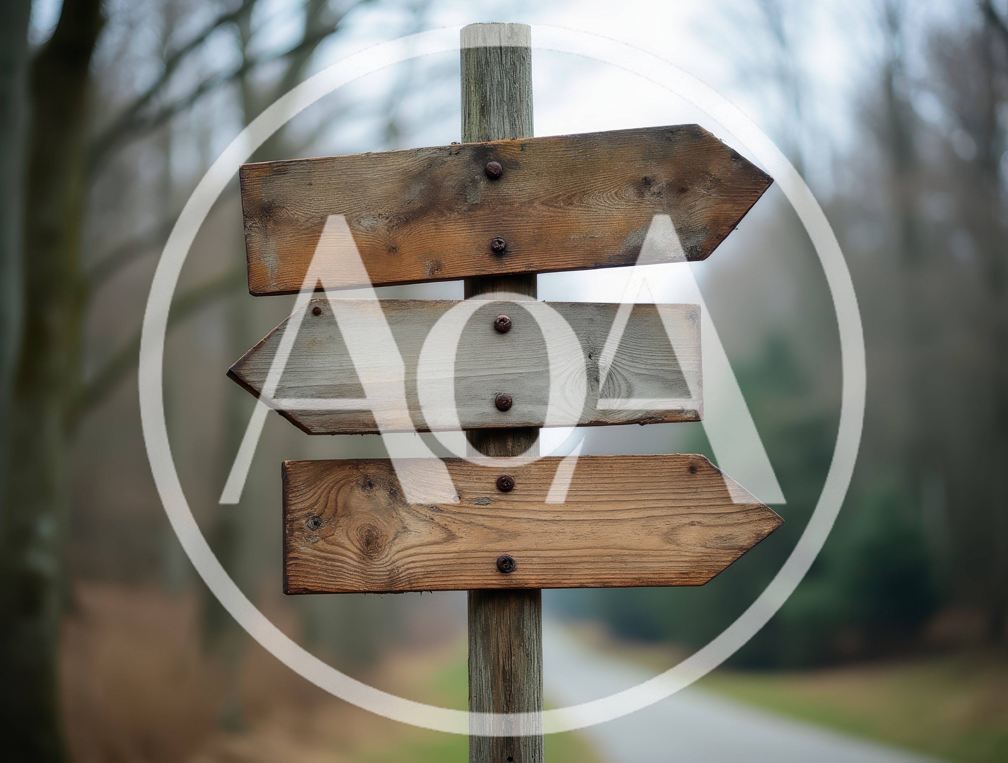 Wooden Directional Signpost In A Misty Forest