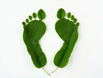 Two Footprints Made From Green Leaves