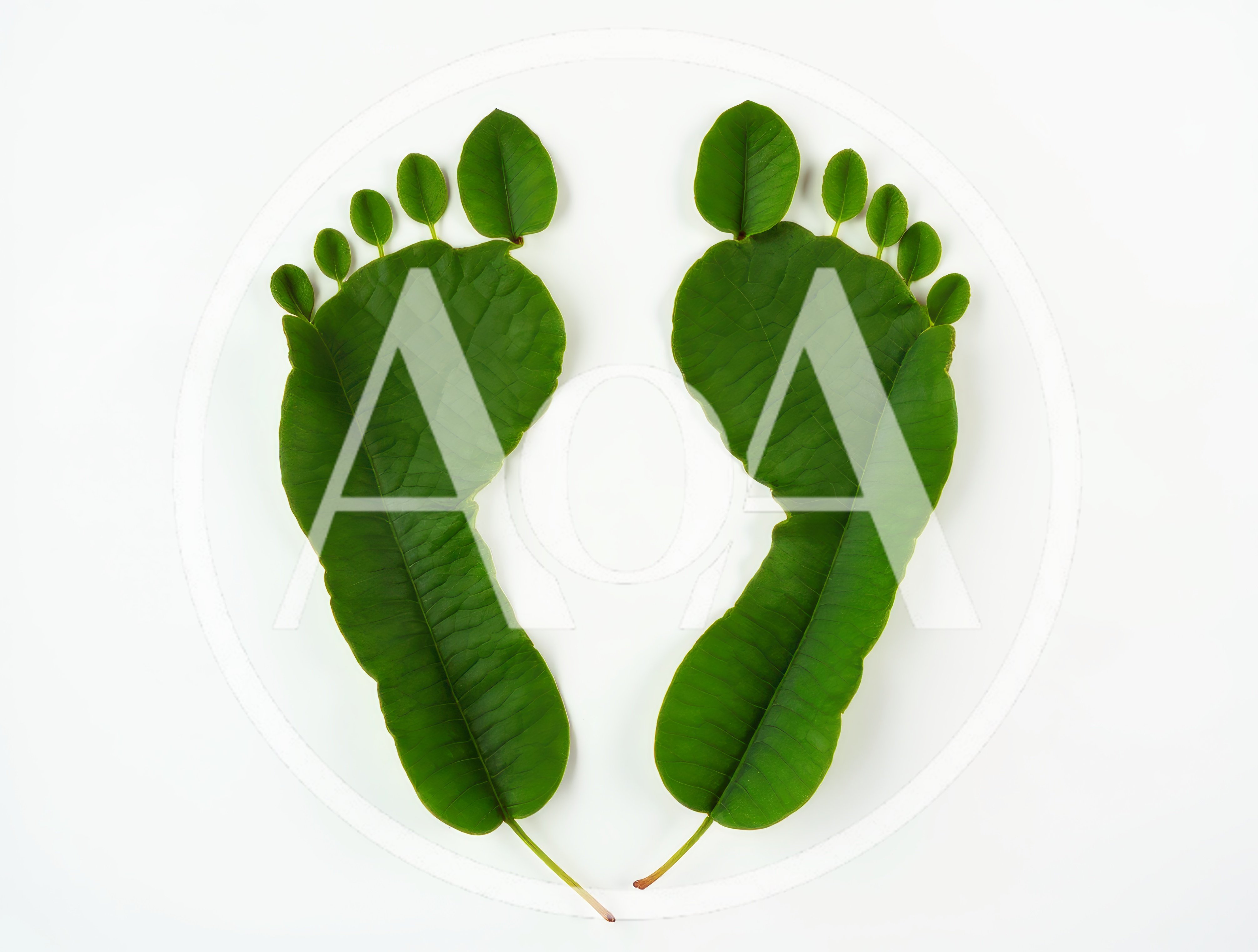 Two Footprints Made From Green Leaves
