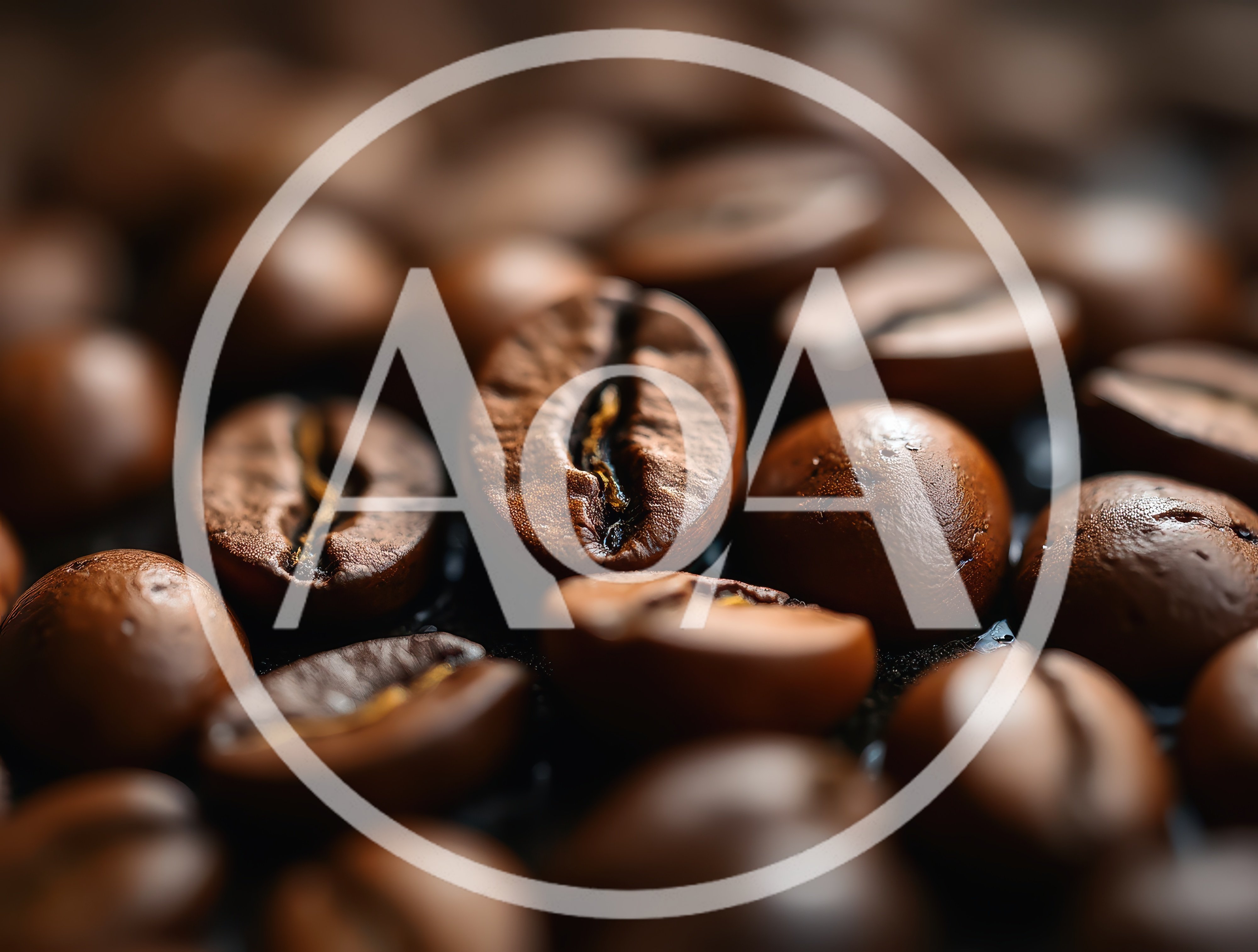 Macro Close Up Of Roasted Coffee Beans