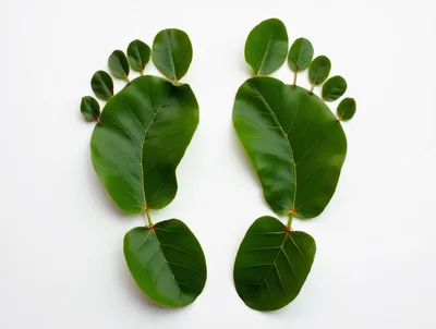 Two Footprints Made From Green Leaves