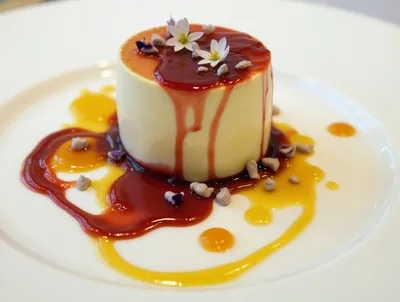 Gourmet Panna Cotta Dessert With Fruit Coulis