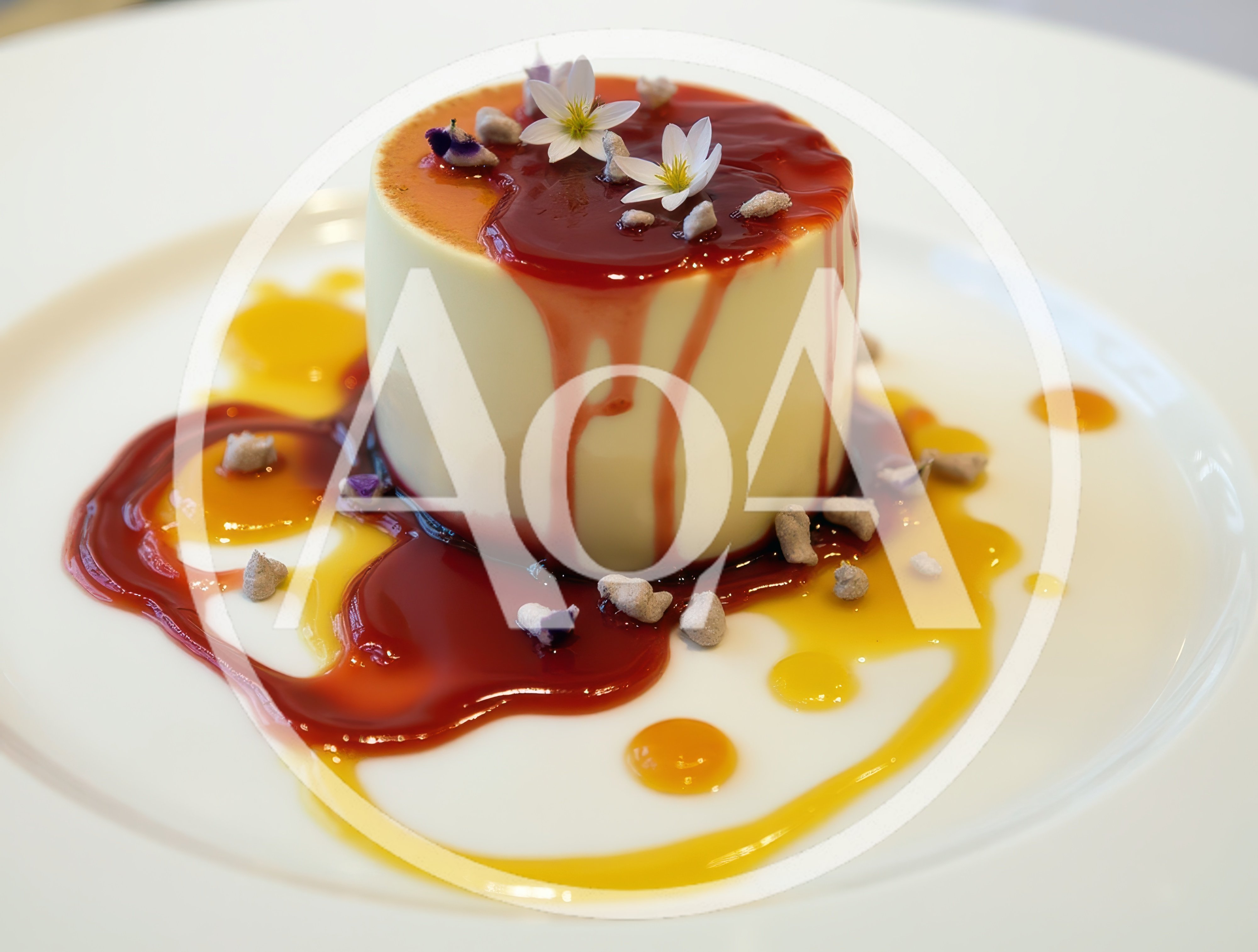 Gourmet Panna Cotta Dessert With Fruit Coulis